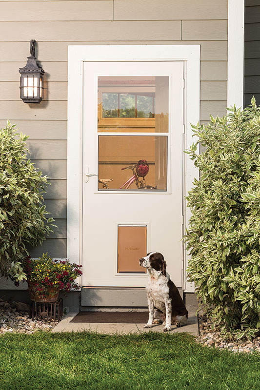 Pet Door with dog outsite