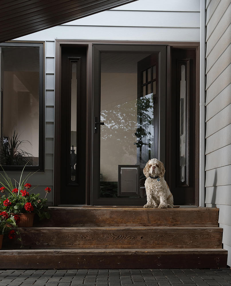 Larson pet door collection hotsell