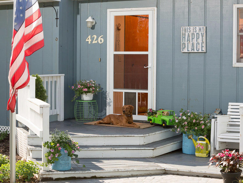 how to put a dog door in a storm door