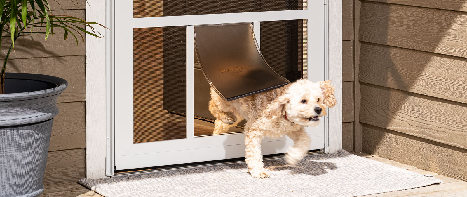 Dog storm clearance door